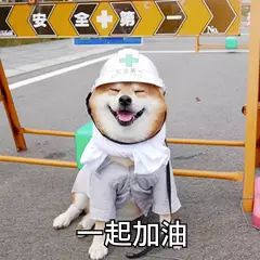 第二例“陽性狗”，跨越種族的抗疫統(tǒng)一戰(zhàn)線！