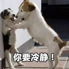 第二例“陽性狗”，跨越種族的抗疫統(tǒng)一戰(zhàn)線！
