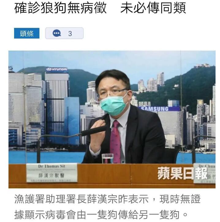 第二例“陽性狗”，跨越種族的抗疫統(tǒng)一戰(zhàn)線！