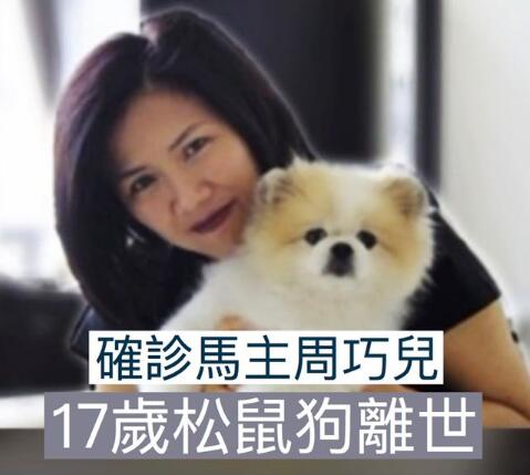 第二例“陽性狗”，跨越種族的抗疫統(tǒng)一戰(zhàn)線！