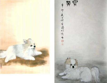 第二例“陽性狗”，跨越種族的抗疫統(tǒng)一戰(zhàn)線！