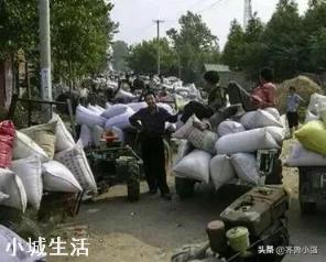 玉米一年中几月会涨价？为什么？