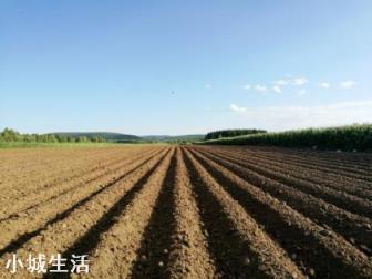 土地起垄有哪些好处？什么作物需要起垄？