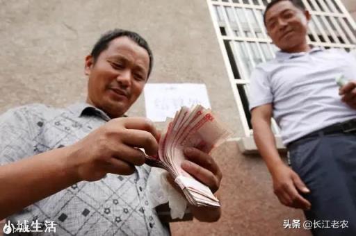 小麦价格是否会继续上涨？现在该不该售粮？