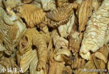 老人常说“一两鸡内金二两金”，鸡内金是什么，有什么作用？