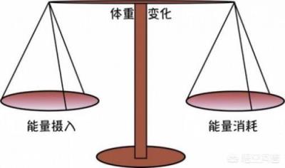 怎样跑才能最好的减脂？