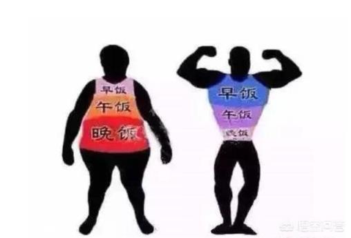 怎样跑才能最好的减脂？