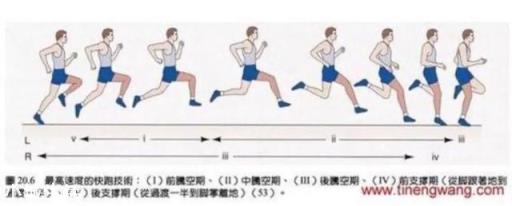如何正确地跑步，有哪些跑步常识？