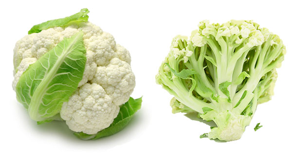 血脂高吃什么食物比较好