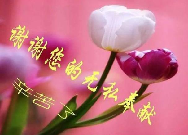精选100句 怎么用一句话夸赞老师 关于赞美老师的优美句子