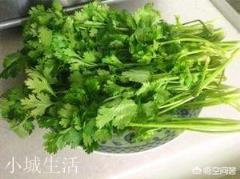 腌蒜茄子的秘方是什么，怎么做？