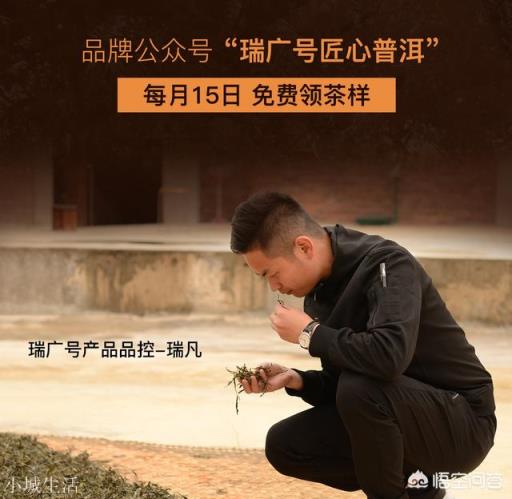 怎么品评普洱茶的香气?
