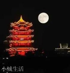 你見過的古詩詞中哪一句最美？