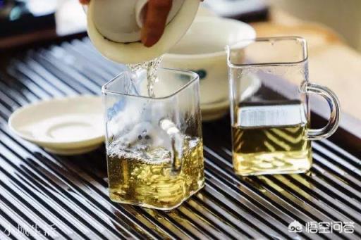 云南思茅、版納、臨滄三大茶區的各大名山普洱茶各有什么口感特點？