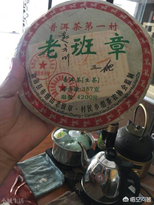 云南思茅、版納、臨滄三大茶區的各大名山普洱茶各有什么口感特點？