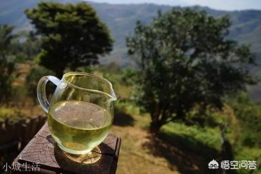 云南思茅、版納、臨滄三大茶區的各大名山普洱茶各有什么口感特點？