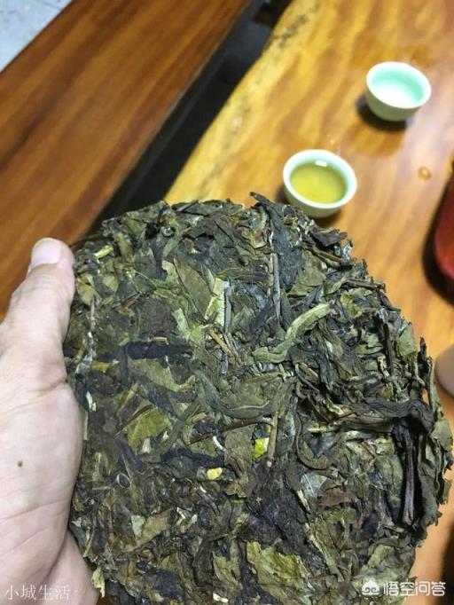 云南思茅、版納、臨滄三大茶區的各大名山普洱茶各有什么口感特點？