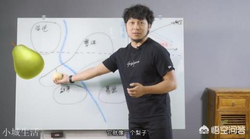 云南思茅、版納、臨滄三大茶區的各大名山普洱茶各有什么口感特點？