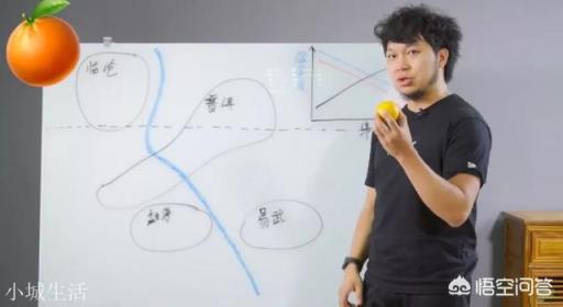 云南思茅、版納、臨滄三大茶區的各大名山普洱茶各有什么口感特點？