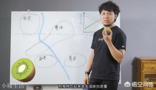 云南思茅、版納、臨滄三大茶區的各大名山普洱茶各有什么口感特點？