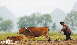 农村俗语“卖房不卖门,卖牛不卖绳”,为啥绳和门不能卖?