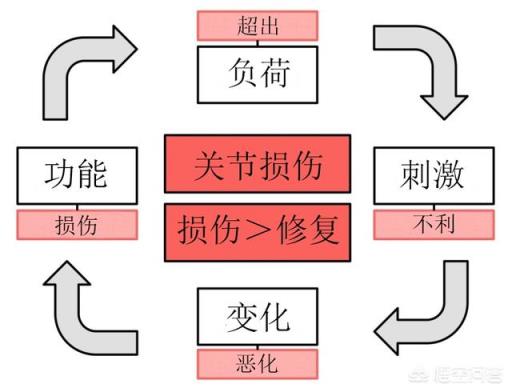 跑步怎么可以不伤膝盖？
