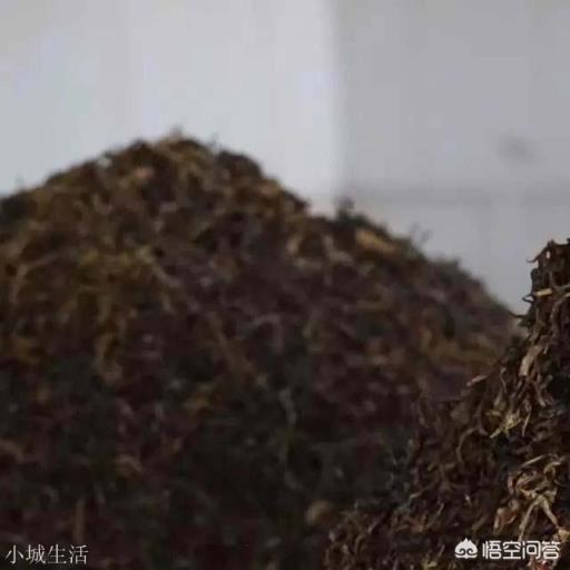 普洱茶臟嗎？