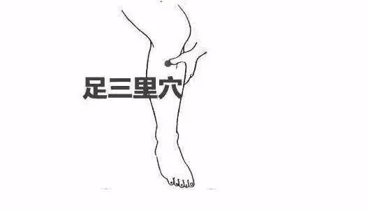 足三里什么时候不能按