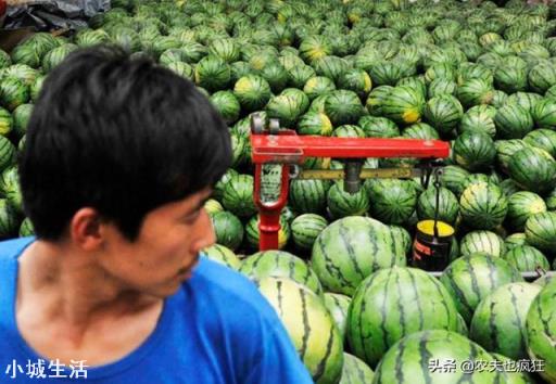 瓜農兩毛錢一斤西瓜賣不出去，消費者卻吃不起，到底誰在撒謊？