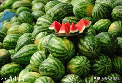 瓜農兩毛錢一斤西瓜賣不出去，消費者卻吃不起，到底誰在撒謊？