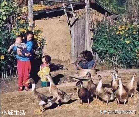 为什么上辈农村人养七八个子女不叫累，现代人养一个子女就非常累？