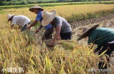 农民工和农民有什么区别？