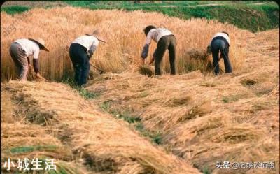 农民工和农民有什么区别？