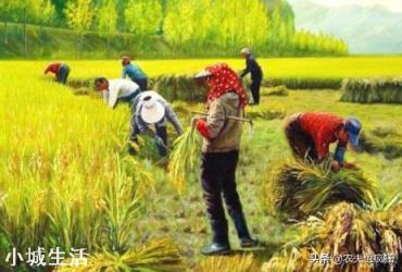 农民工和农民有什么区别？