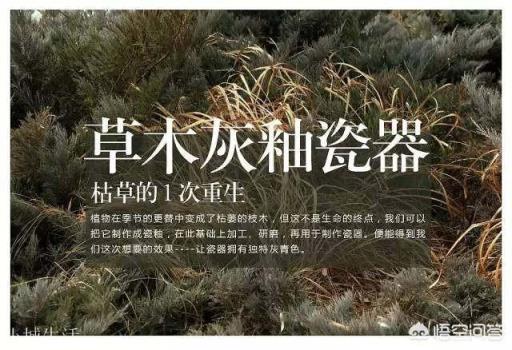 草木灰釉怎么配制?