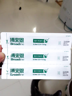 撸猫成瘾可以,猫身上的寄生虫对人危害极大一定要按时驱!