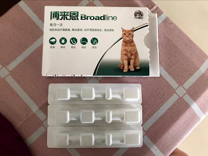 寵物驅蟲藥選哪種比較好?博來恩、大寵愛和愛沃克哪款驅蟲藥更好用?