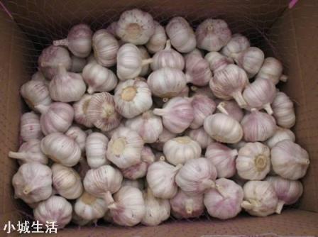今年蒜农地里大蒜七八毛一斤,但超市蒜价格却达7块一斤,正常吗?