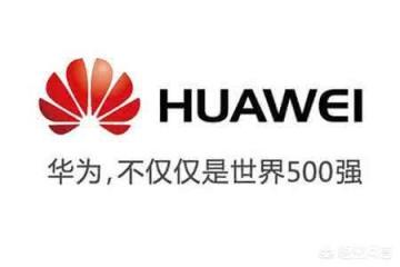 华为是从哪里找到的优化底层系统代码的人才？