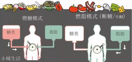 有哪些增加饱腹感的食物？
