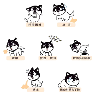 狗驱虫的正确方式,狗狗少受罪!