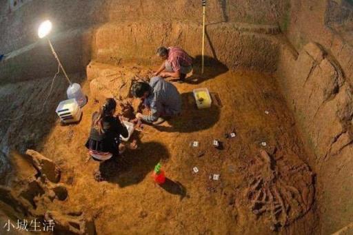 武则天孙女墓在陕西出土，金银堆里竟有一男子白骨，这是怎么回事？