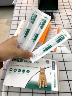 如何预防猫咪感染寄生虫?资深铲屎官吐血整理!