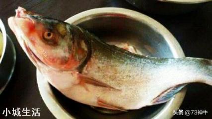 四大家魚中的鰱魚其價(jià)格一直是最低的，其原因主要有哪些？