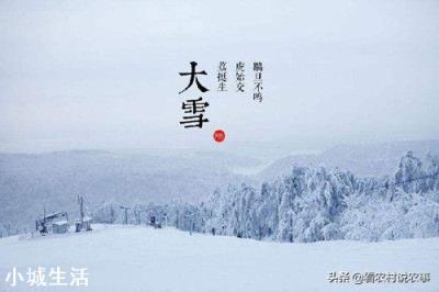 大雪节气将至，俗语“大雪不冻倒春寒，大雪不寒明年旱”啥意思？