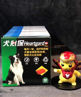 狗狗拉肚子吃什么药可以治疗?