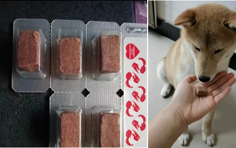 怎么觀察小狗嘔吐是什么原因導致的？