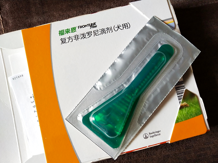 夏天需要多久给狗狗驱虫一次