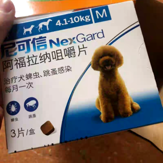 夏天需要多久给狗狗驱虫一次