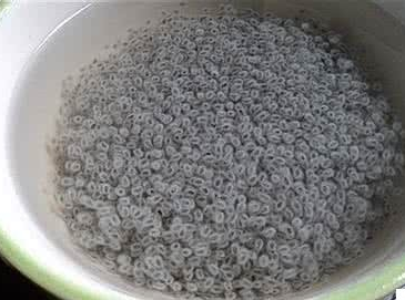 兰香子的功效与作用
